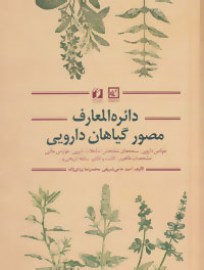 mosavvar