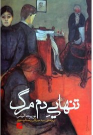 tanhaiy8